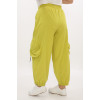 24134 Big Size Lemon Trousers