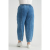 24256  Big Size Blue Trousers