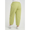 24279  Big Size Pistachio Green Trousers