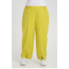 24279  Big Size Lemon Trousers