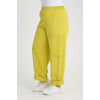 24318  Big Size Lemon Trousers